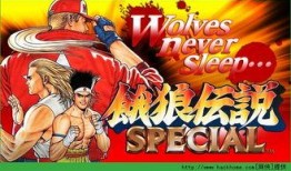 饿狼传说 在线观看,热血激战，勇者无畏的冒险之旅